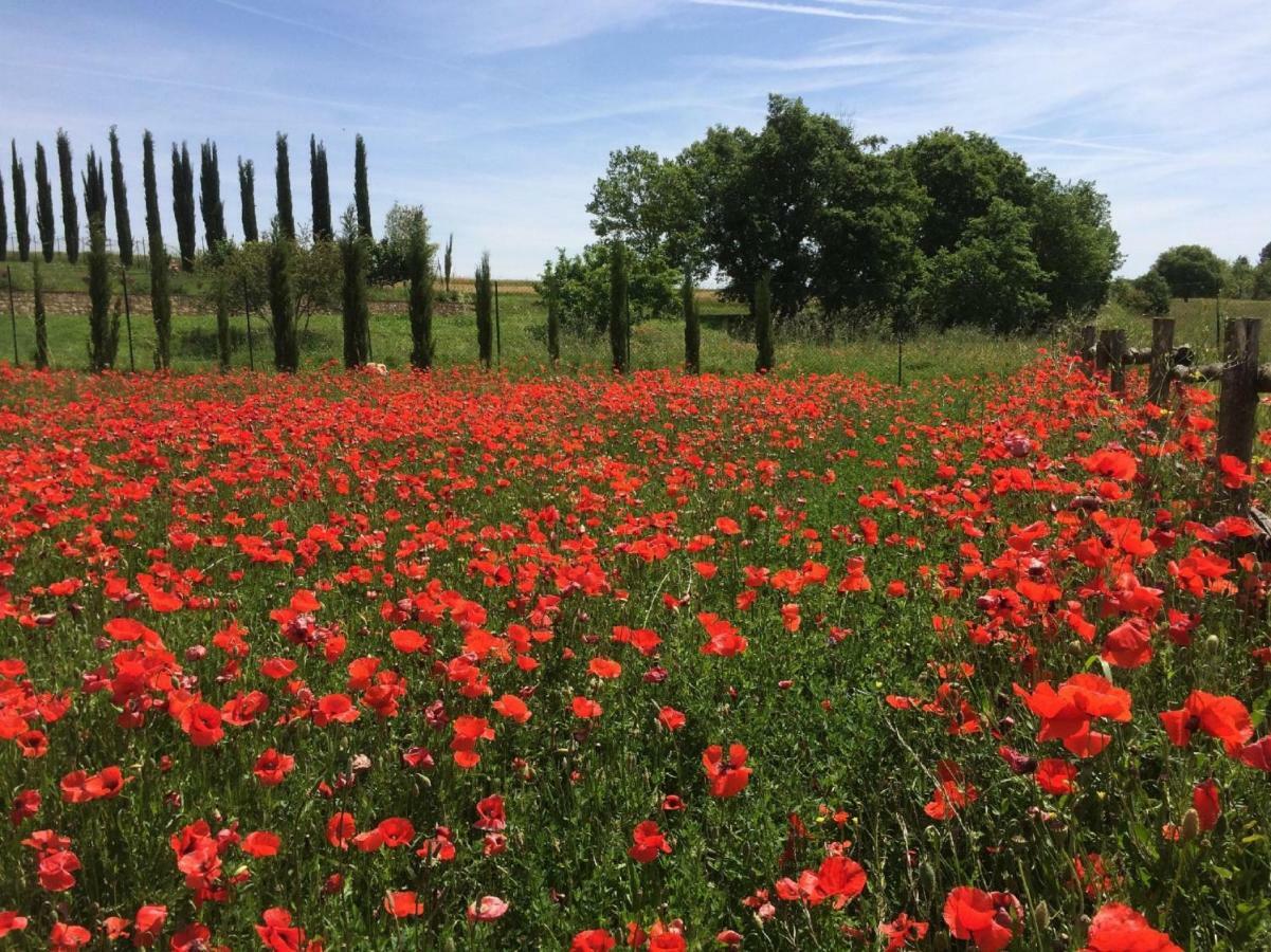 La Casa Del Fattore Monteriggioni Εξωτερικό φωτογραφία
